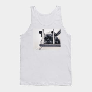 Frenchie Tank Top